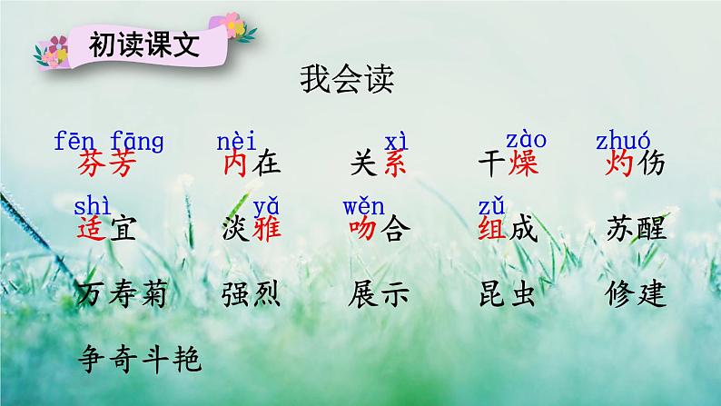 人教版三年级语文下册 第四单元 13 《花钟》课件06