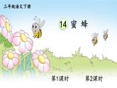 人教版三年级语文下册 第四单元 14 《蜜蜂》课件