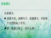 人教版三年级语文下册 第四单元 14 《蜜蜂》课件