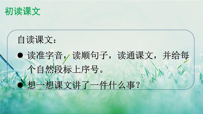 人教版三年级语文下册 第四单元 14 《蜜蜂》课件03