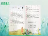人教版三年级语文下册 第四单元 14 《蜜蜂》课件