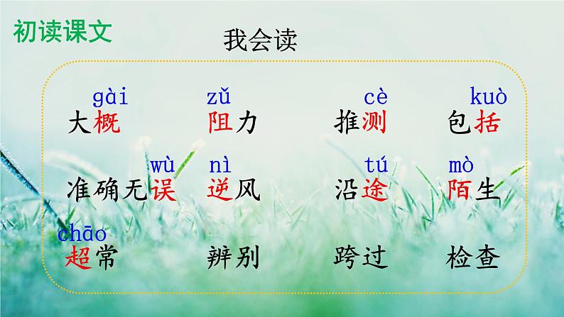 人教版三年级语文下册 第四单元 14 《蜜蜂》课件05