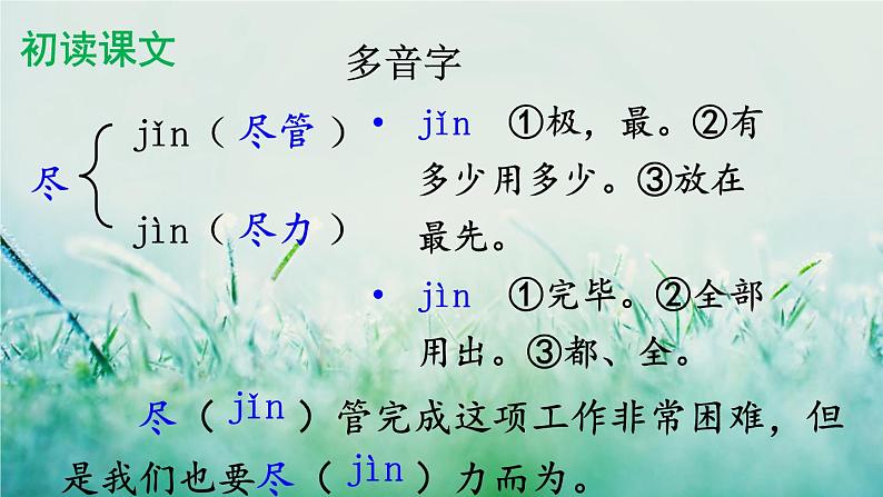 人教版三年级语文下册 第四单元 14 《蜜蜂》课件08