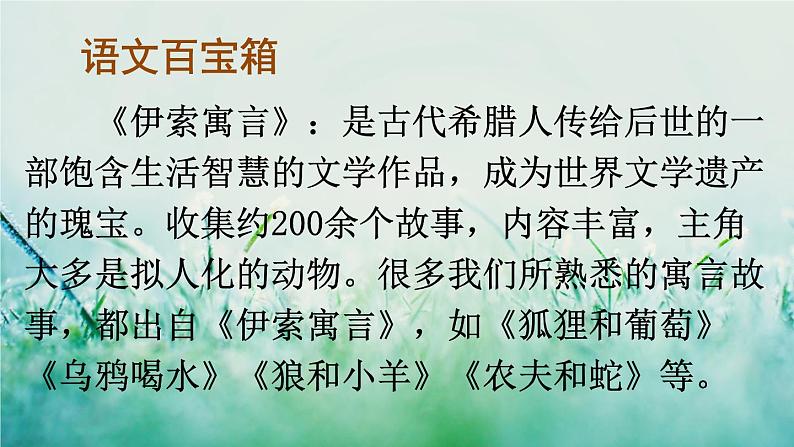 人教版三年级语文下册 第二单元 7 《鹿角和鹿腿》课件03