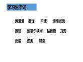 部編版五年級下冊第20課《金字塔》（PPT課件）