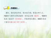 人教部编版语文五年级下 第一单元 2.祖父的园子 课件