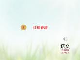 人教部编版语文五年级下 第二单元 8.红楼春趣 课件
