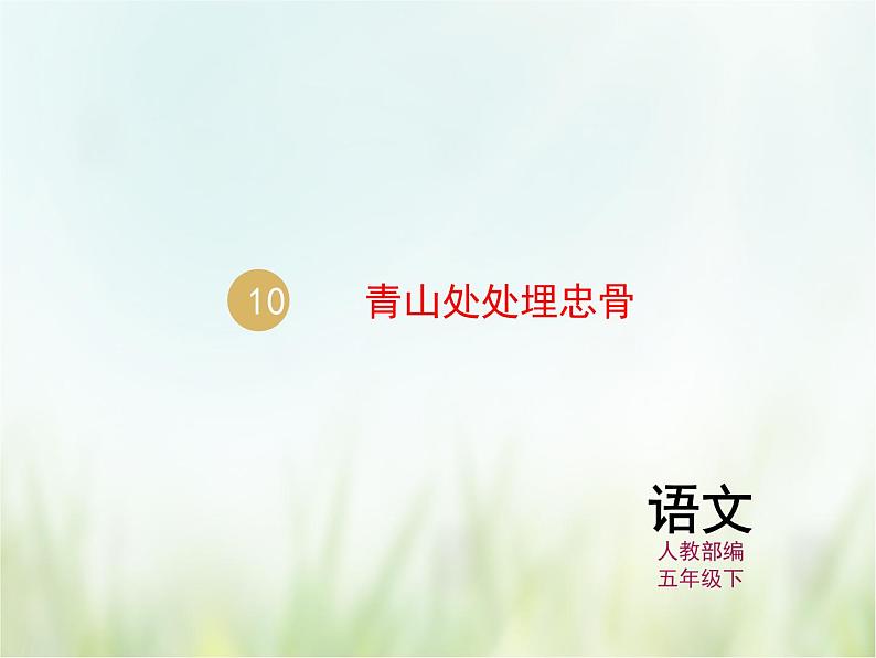 人教部编版语文五年级下 第四单元 10.青山处处埋忠骨 课件01