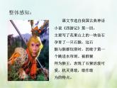 人教部编版语文五年级下 第二单元 7.猴王出世 课件