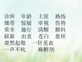 人教部编版语文五年级下 第四单元 11.军神 课件