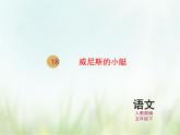 人教部编版语文五年级下 第七单元 18.威尼斯的小艇 课件