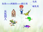人教部编版语文五年级下 第八单元 23.童年的发现 课件