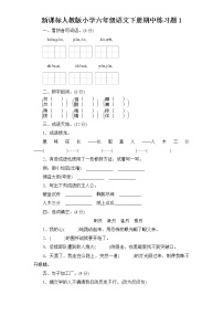 （含答案）人教新课标语文六年级下学期期中测试卷1