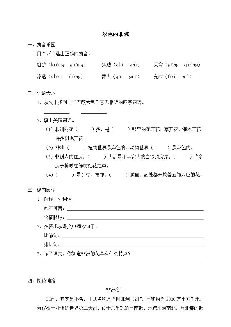 人教版新课标五年级下册28彩色的非洲（含答案） 试卷01