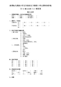 小学语文人教版 (新课标)五年级下册21* 猴王出世课时练习