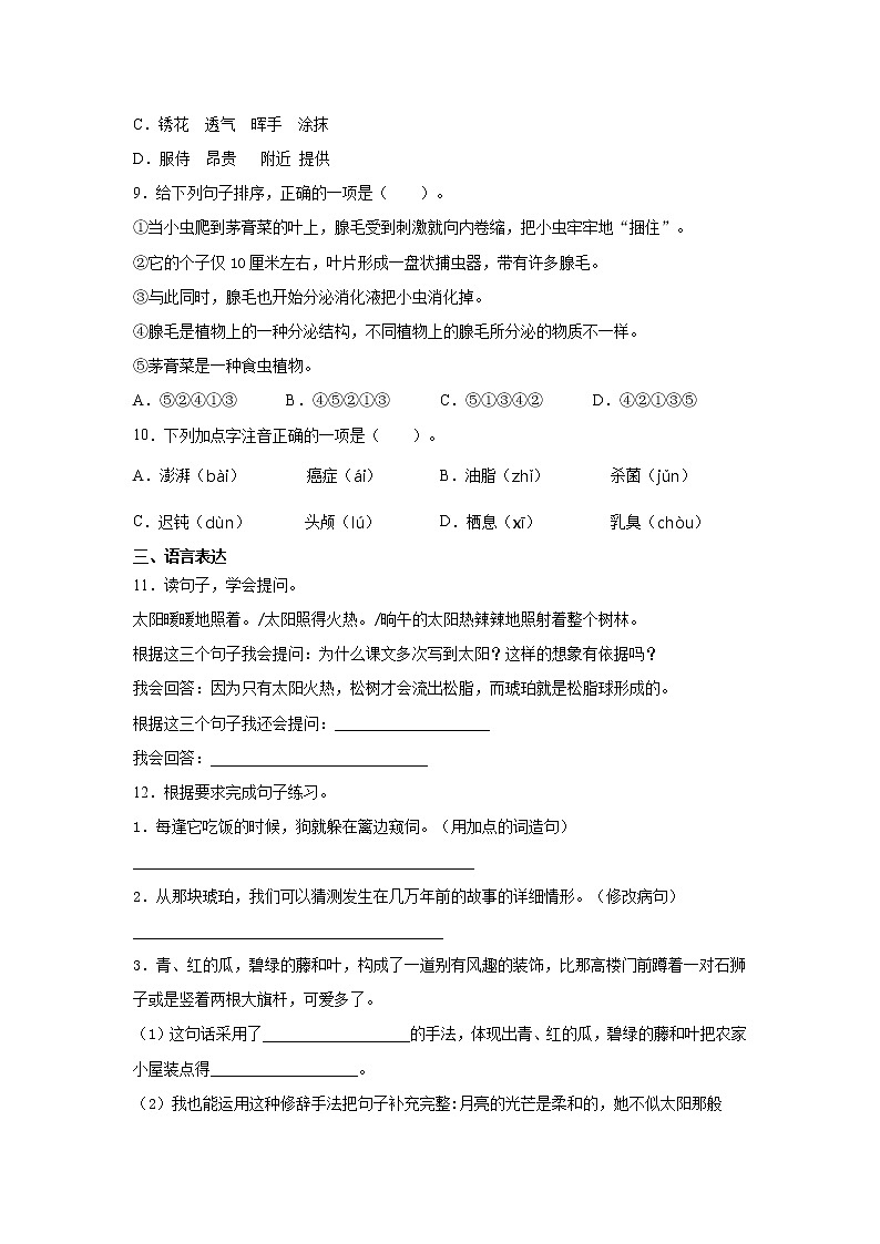 统编版语文四年级下册第5课.琥珀    同步练习（含答案）02