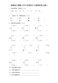 （含答案）人教新课标语文六年级下学期期末测试卷2