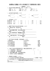 （含答案）人教新课标语文六年级下学期期末测试卷5