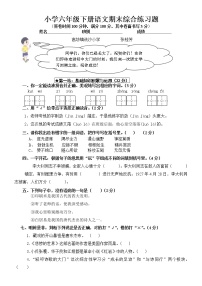 人教版六年级语文下册期末测试题 (9)