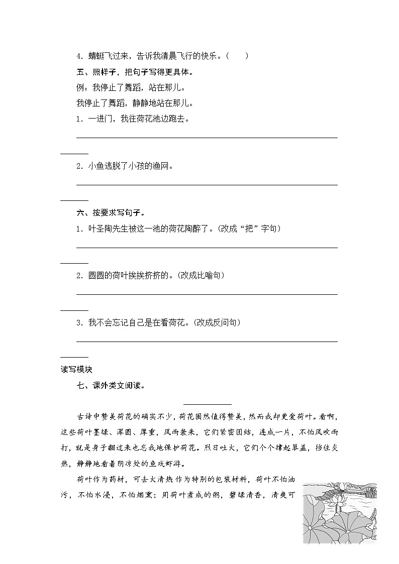 人教版三年级下语文课时测试-3 荷花（含答案）第2页