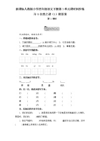 小学语文人教版 (新课标)四年级下册8 自然之道同步测试题