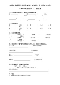 人教版 (新课标)四年级下册第四组13* 小英雄雨来课时作业