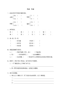 小学语文人教版 (新课标)四年级下册18 生命 生命巩固练习