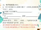 人教部编版语文五年级下册  第2单元测试卷    同步练习课件