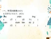 人教部编版语文五年级下册  期中综合测试卷    同步练习课件