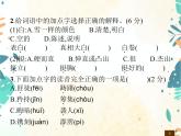 人教部编版语文五年级下册  期中综合测试卷    同步练习课件