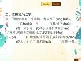 人教部编版语文五年级下册  第1单元 2　祖父的园子    同步练习课件