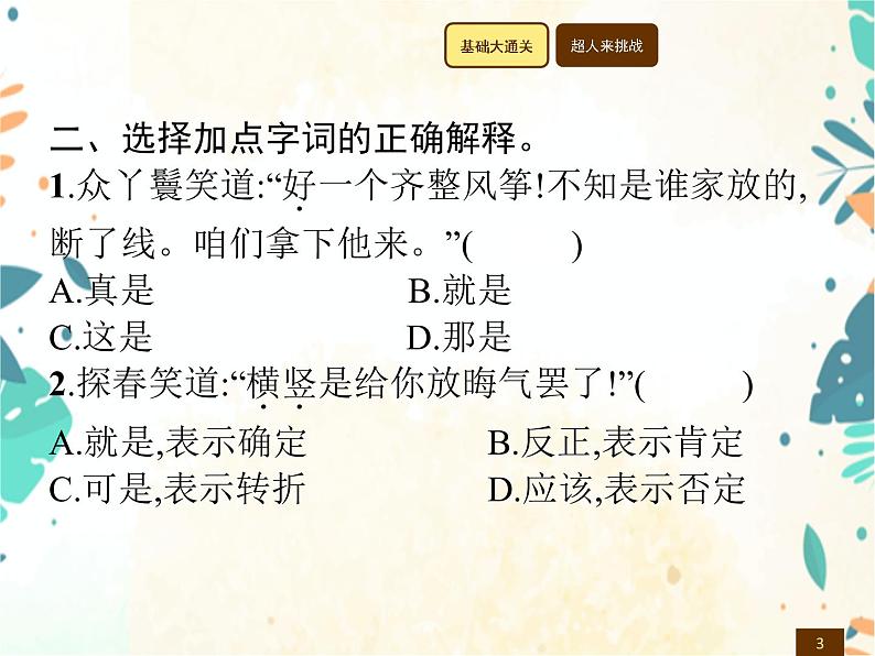 人教部编版语文五年级下册  第2单元 8　红楼春趣    同步练习课件03