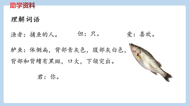 六年级下册语文课件-《古诗词诵读》——《江上渔者》《泊船瓜洲》 部编版08