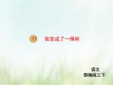 人教部编版语文三年级下册  17我变成了一棵树    课件