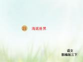人教部编版语文三年级下册  23海底世界    课件