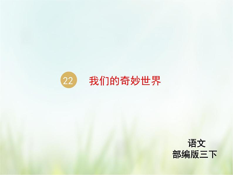 人教部编版语文三年级下册  22我们的奇妙世界    课件01
