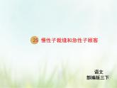 人教部编版语文三年级下册  25慢性子裁缝和急性子顾客    课件