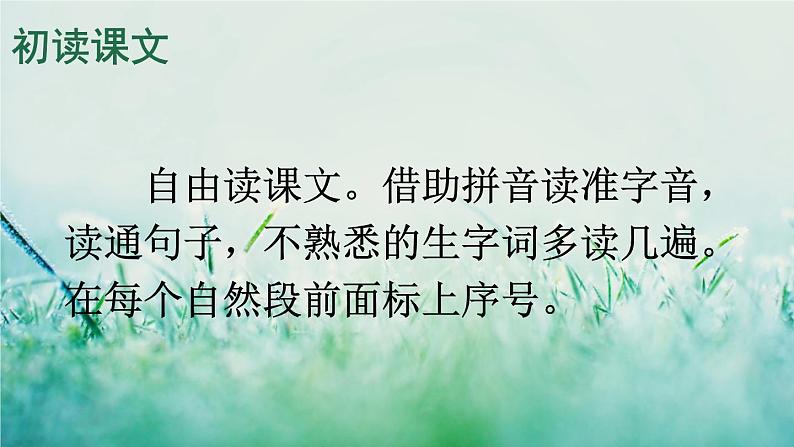 1小马过河第4页