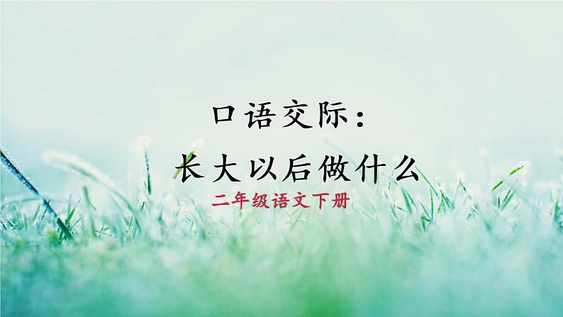 部编版二年级语文下册  识字 口语交际：长大以后做什么课件01