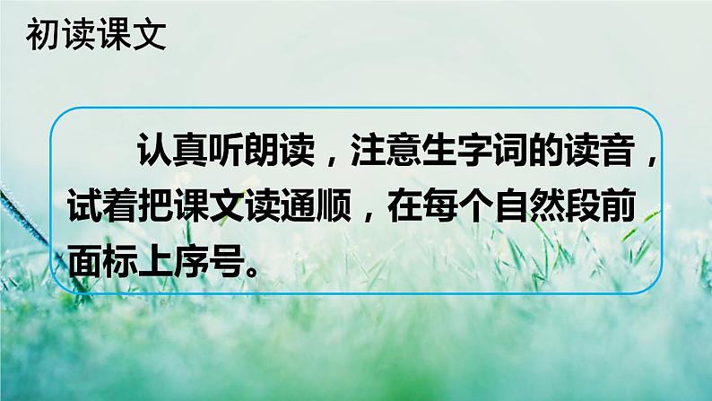 部编版二年级语文下册 课文1  邓小平爷爷植树课件+素材03