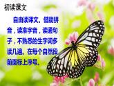 部编版二年级语文下册  课文6  小毛虫课件+素材