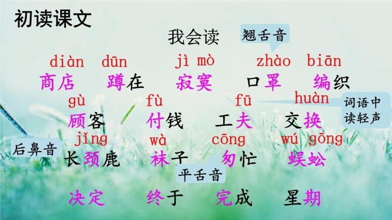 小学语文人教部编版二年级下册20 蜘蛛开店课文课件ppt-教习网|课件