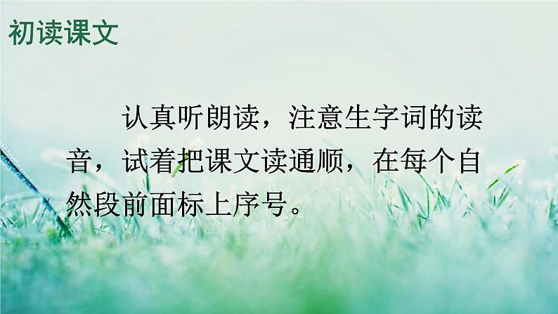 部编版二年级语文下册  课文4  画杨桃课件+素材03