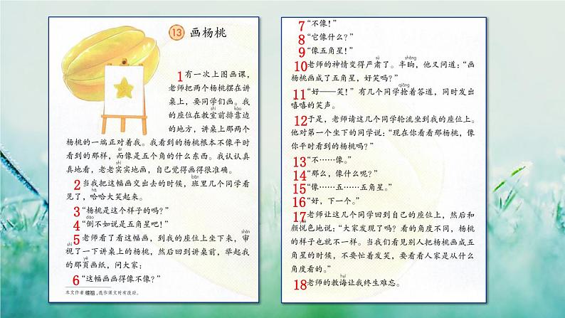 部编版二年级语文下册  课文4  画杨桃课件+素材04