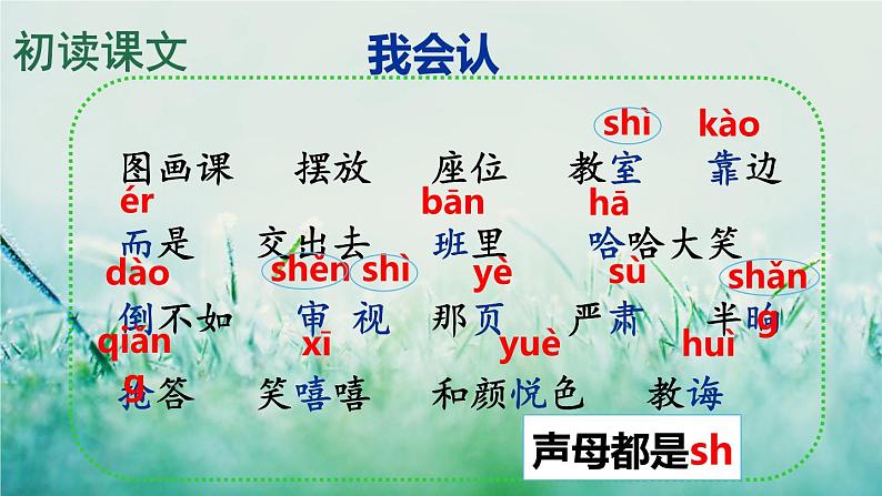 部编版二年级语文下册  课文4  画杨桃课件+素材05