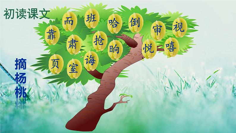 部编版二年级语文下册  课文4  画杨桃课件+素材06