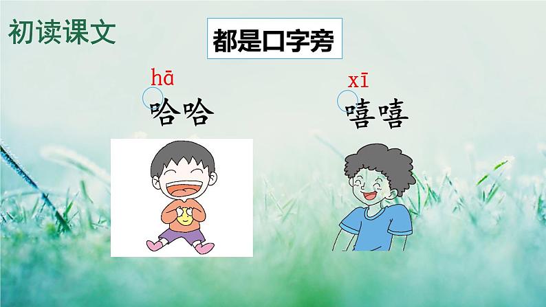 部编版二年级语文下册  课文4  画杨桃课件+素材08