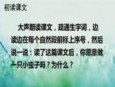 部编版二年级语文下册  课文3  我是一只小虫子课件+素材