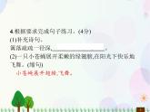 人教部编版语文四年级下册  期中综合测试卷  同步练习课件