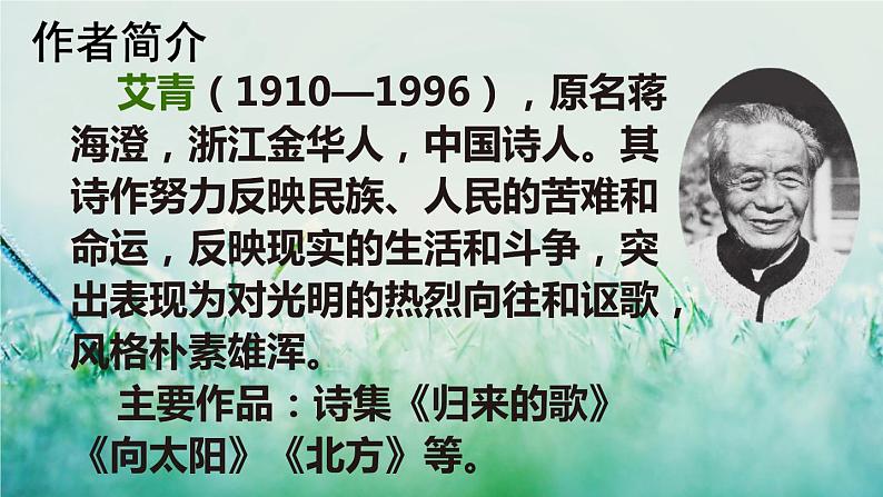 部编版四年级语文下册 第三单元 10 绿 课件PPT03